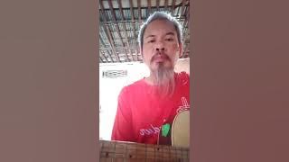 CICAK MENANGKAP JANDA