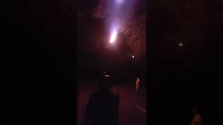 Honeybee Tonka - Roper 2017