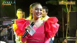 ELIK LANANG  - DESI PARASWATY  - NAELA NADA LIVE DESA JATIRENGGANG  TANGGAL 4 NOVEMBER 2023