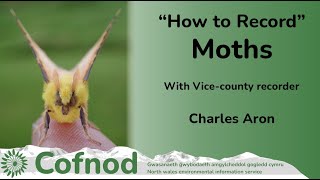 How to Record Moths