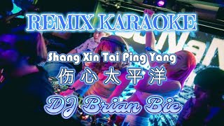 Remix Karaoke || No Vocal || Shang Xin Tai Ping Yang - 伤心太平洋 || By Dj Brian Bie