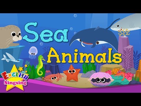 Kids vocabulary - Sea Animals - Learn English for kids - English educational video