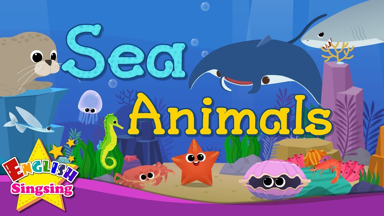 Kids Vocabulary - Sea Animals - Learn English For Kids - English Educational Video