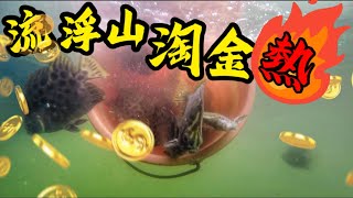 流浮山金鼓如何釣？爆釣金古季來了#艇釣 #香港釣魚