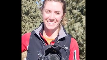 Explora Magic Hoof Boot REVIEW