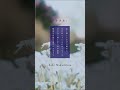 「カフネ」 - 中島寂 #オリジナル曲 #中島寂 #カフネ