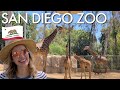 #1 ZOO IN THE WORLD?! | Our Experience at the San Diego Zoo