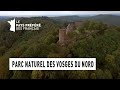 Le parc naturel des vosges du nord  basrhin  les 100 lieux quil faut voir  documentaire