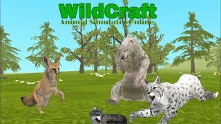 Что делать, если не показывает друзей в игре #WildCraft