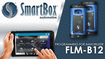Programming for Immobilizer FLM-B12