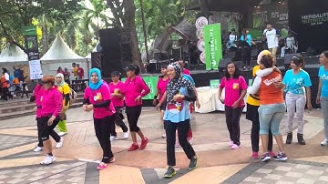 Pasar Seni Ancol Fun Run Herbalife
