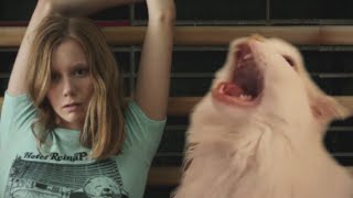 Tame Impala - The Less I Know The Better - Cat Cover by Malow Meme 554,857 views 3 years ago 1 minute, 12 seconds