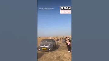Israeli rave goers run for their lives when Hamas militia paraglide in and start shooting