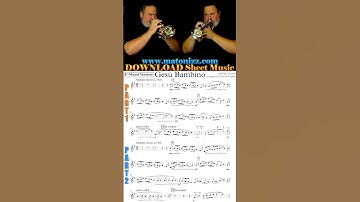 🍰Low Brass or 🍊High Brass??? #gesubambino #euphonium #tuba #trumpet #cornet #comparison #lowbrass