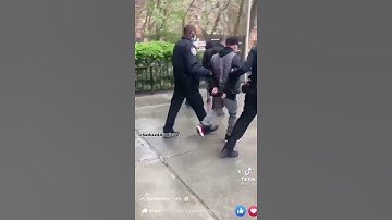 New York Police Robot  