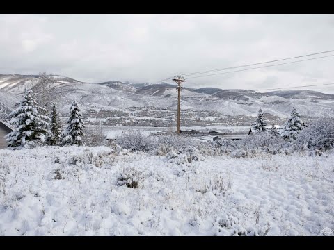 252 Gold Dust Dr, Edwards, CO home video tour