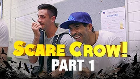Scare Crow! Crows get pranked by Tex: Part 1