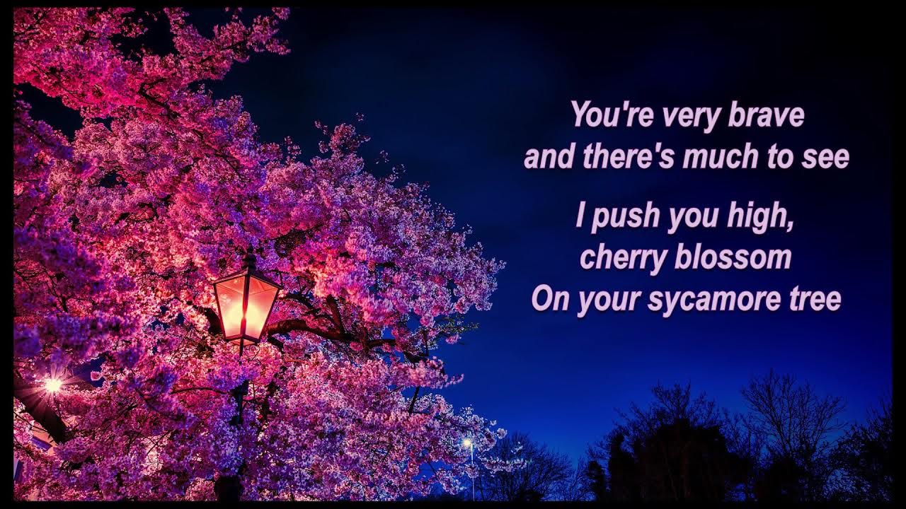 Сакура текст. Сакура интересные факты. Every spring japan is covered in cherry blossoms текст. Cherry blossoms текст. Веточка сакуры массаж.