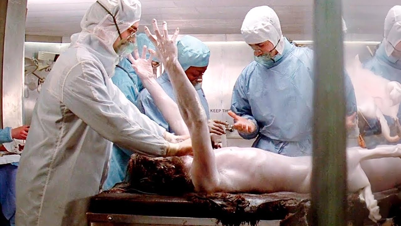 Egy ősember 40 000 évnyi hibernálás után visszatér az életbea