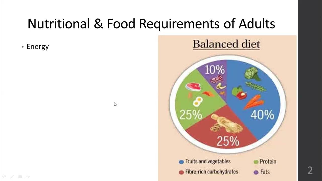 nutritional-requirements-for-adults-july-2024-youtube