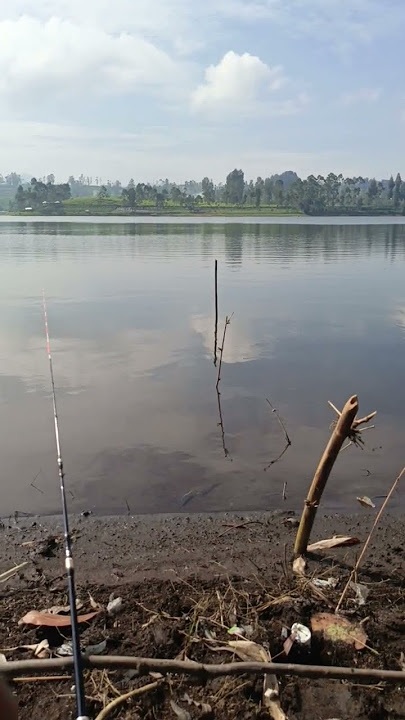 peristiwa ini sangat aneh #fishing #mancing #ikan #angler #pancing #shortsviral