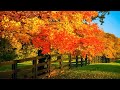 Beautiful Relaxing Music - Soothing Autumn Melodies, Mindful and Peaceful Piano Instrumental Music