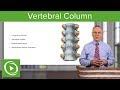 Vertebral Column  – Anatomy | Lecturio