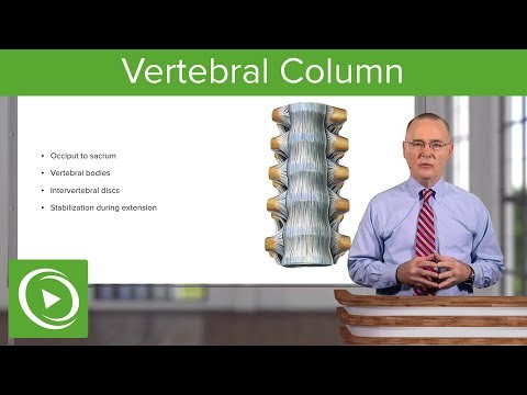 Video: Spinal Column Disorder Hos Kaniner