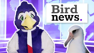 Birdnews Worlds Oldest Bird Hatches A Chick