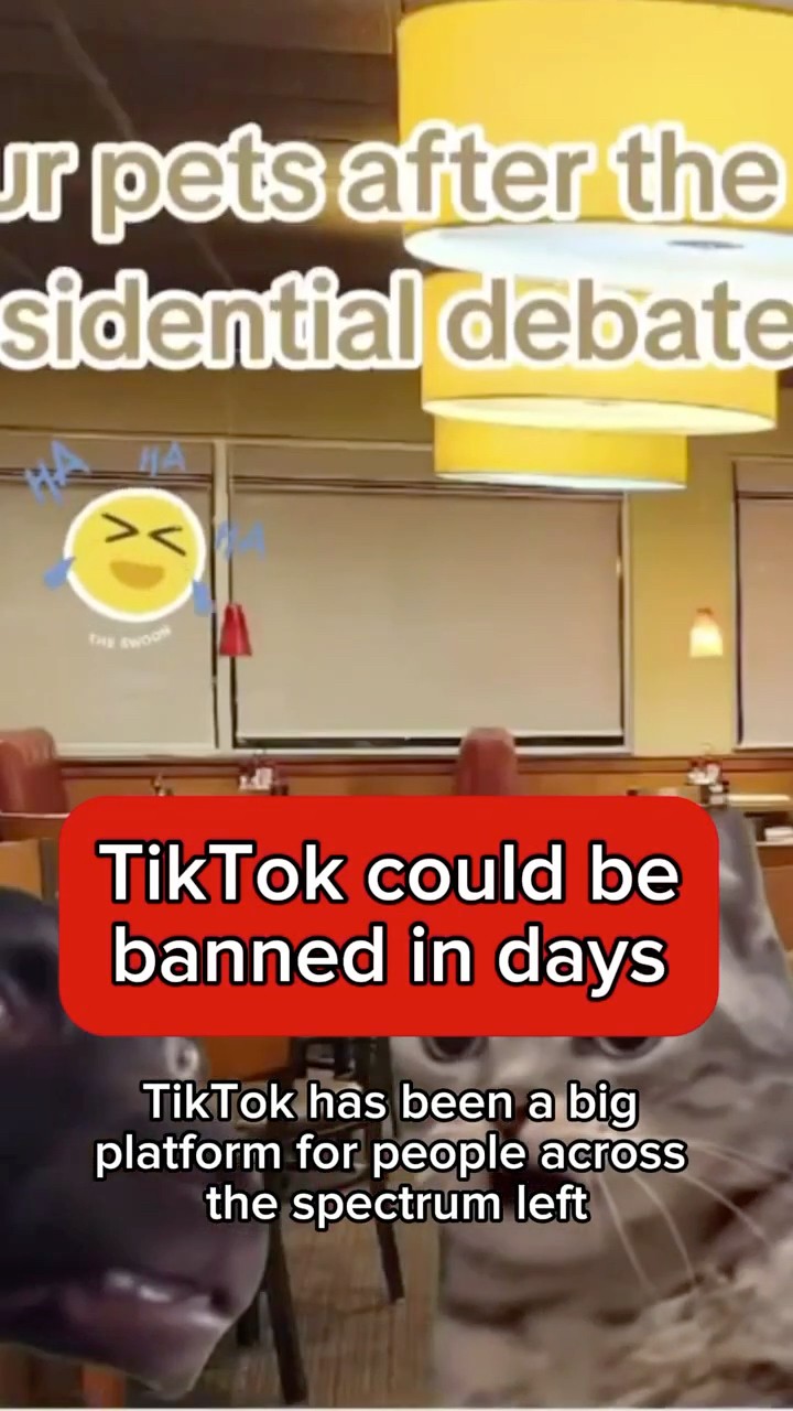 TikTok could be banned in days