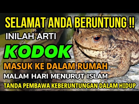 Video: Bagaimana katak mendengar?