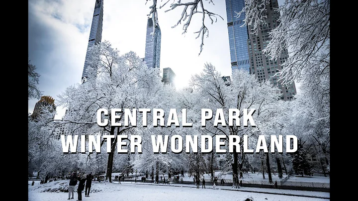 Central Park Snow Day ❄️ | NYC Winter Wonderland