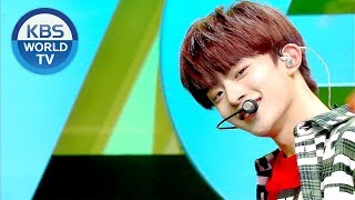 VERIVERY(베리베리) - Alright!, Ring Ring Ring(불러줘) [Music Bank HOT DEBUT / 2019.01.11]