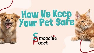 How We Keep Your Pet Safe at Smoochie Pooch