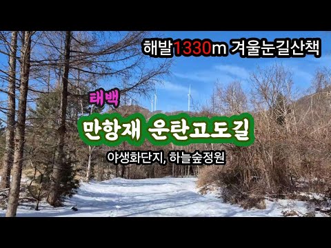 하늘숲정원