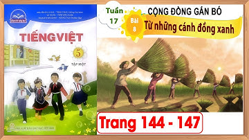 Tiếng Việt lớp 5 chân trời sáng tạo bài 8 tuần 17 - Từ những cánh đồng xanh