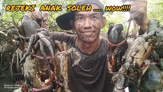 Hasil BERBURU KEPITING BAKAU dengan cara MENANGKAP KEPITING di lubang kayu bakau | Bungga Londa.