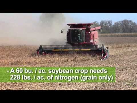 Soybean Lessons 2010 #655 (Air Date 10/24/10)