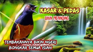 MASTERAN MURAI BATU PALING NGERI BONGKAR SEMUA ISIAN SUPER KOMPLIT