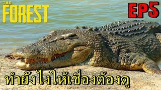 BGZ - The Forest #5 สร้างลิฟท์กับสะพานข้ามน้ำ