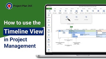 How to use the Timeline View in Project Management | Project Plan 365