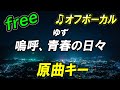 【フリー】嗚呼、青春の日々/ゆず オフボーカル 原曲キー フル歌詞付き カラオケ