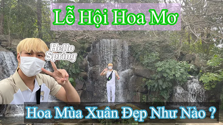 Ma Xun  Nht Bn,p nh no ?  Buddy Nguyn