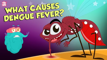What Causes Dengue Fever? | DENGUE | The Dr Binocs Show | Peekaboo Kidz
