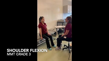 Movement in Context Video Project