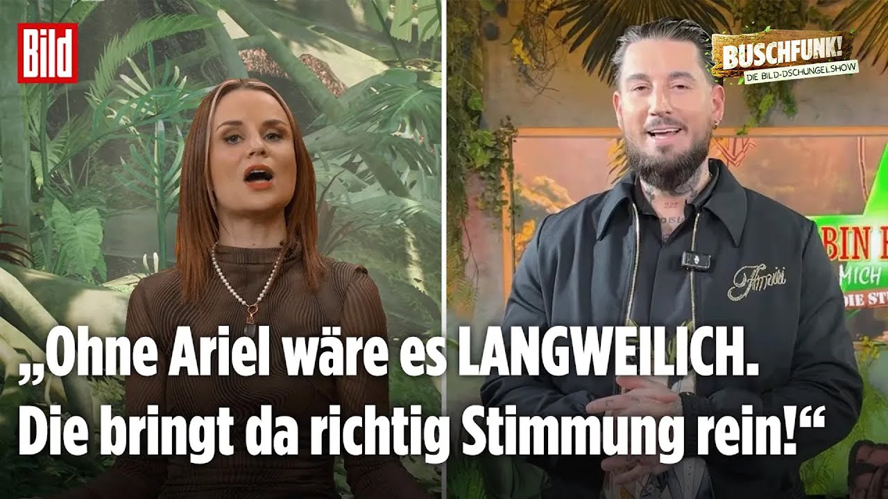 DSCHUNGELCAMP TAG 11: KEIN neuer Rauswurf, dafür viele Gerüchte hinter den Kulissen | 🐍 Buschfunk