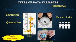 Types of data variables