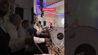 Nuntă În Ungheni Muzică Instrumentală