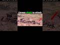 Lion vs Hyena😳🗿 #trending #shorts #animals #lion #hyena #sigma #sigmarule #new