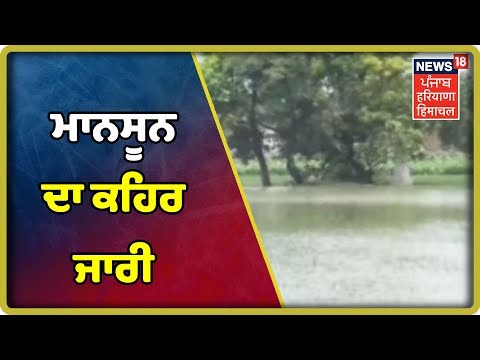 ਫਰੀਦਕੋਟ ਚ 27 ਹਾਜ਼ਰ ਏਕੜ ਫ਼ਸਲ ਡੂਬੀ|News18 Live| Latest news